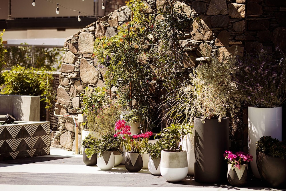 V Capri Palm Springs, a Dolce by Wyndham 45/50
