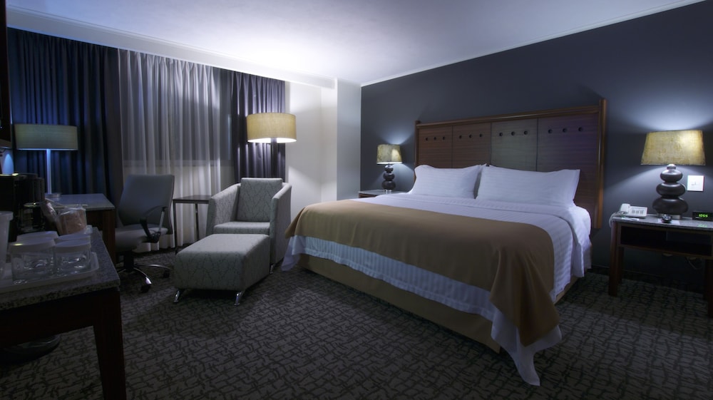 Holiday Inn Ciudad de Mexico Trade Center 17/80