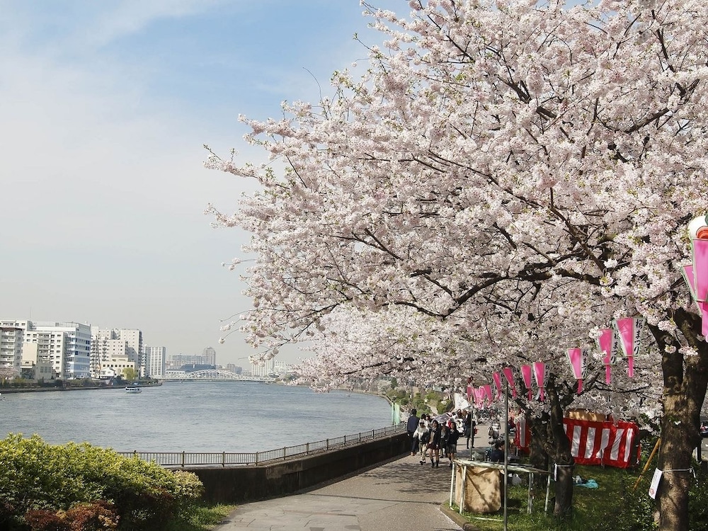 Sakura Sky Hotel 45/50