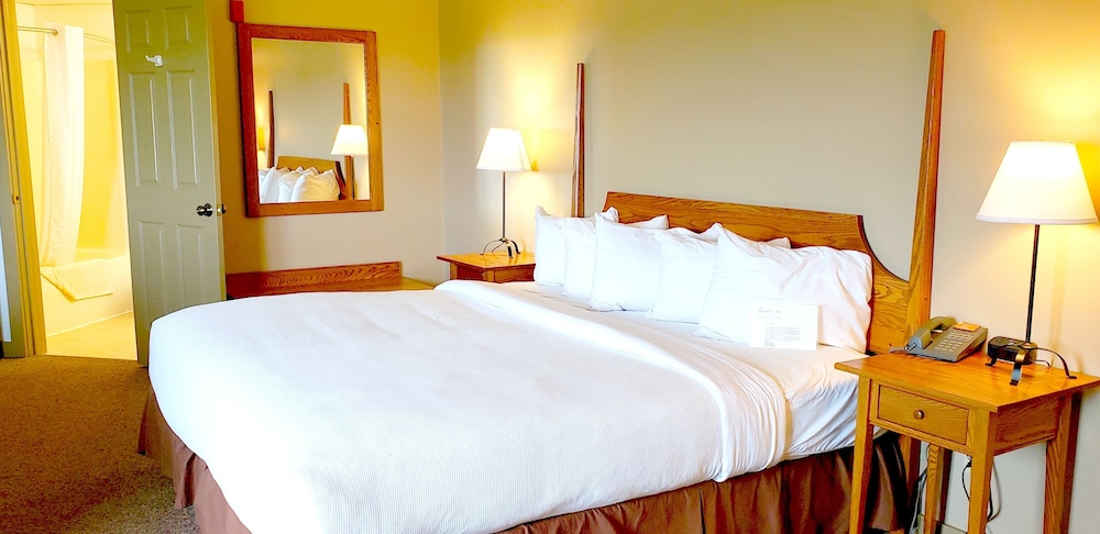 Berlin Heritage Inn 18/50