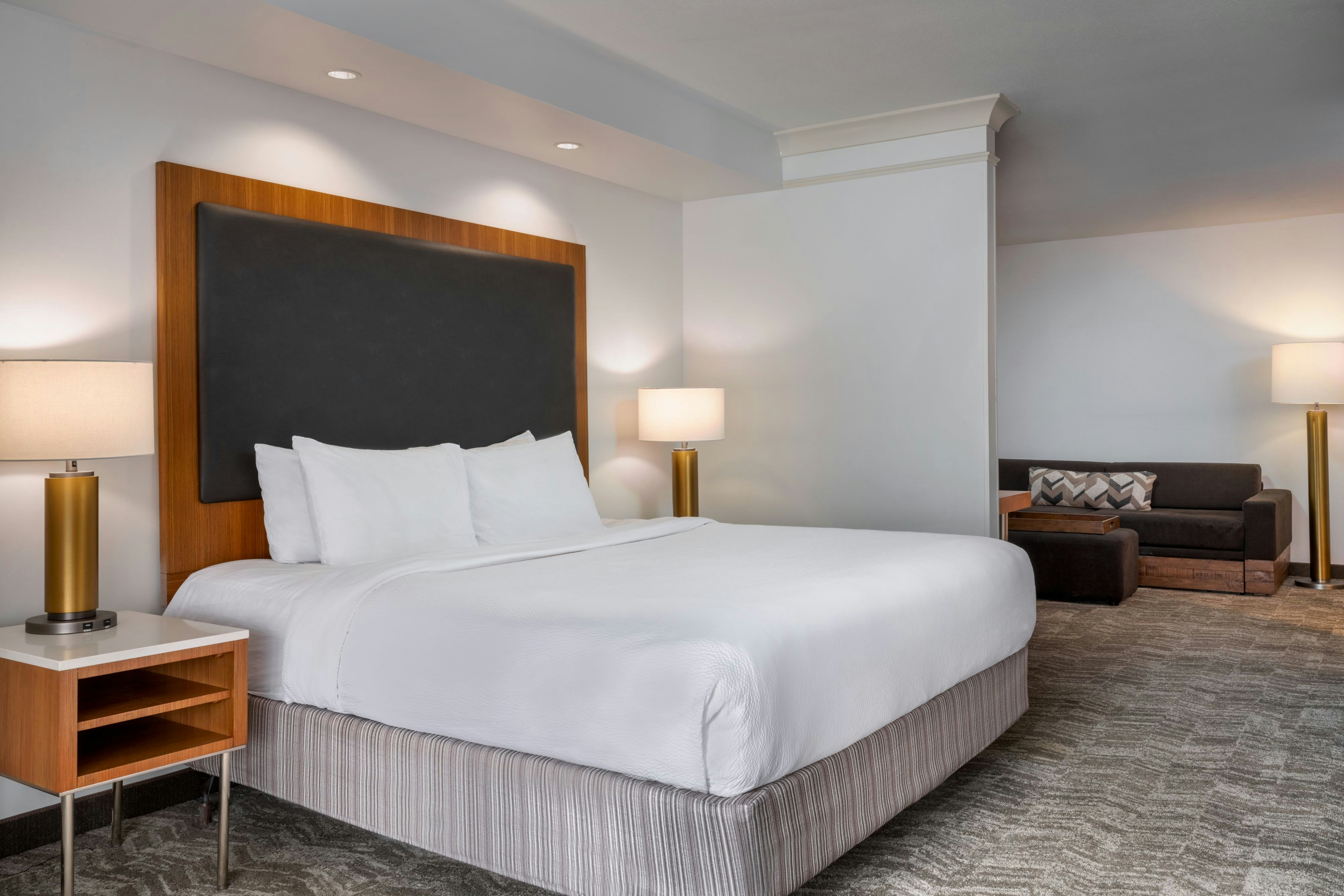 SpringHill Suites Charleston North/Ashley Phosphate 13/46