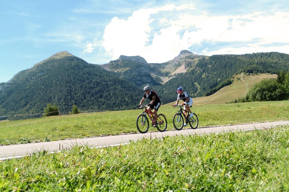 Dolomiti Chalet Family Hotel 45/49