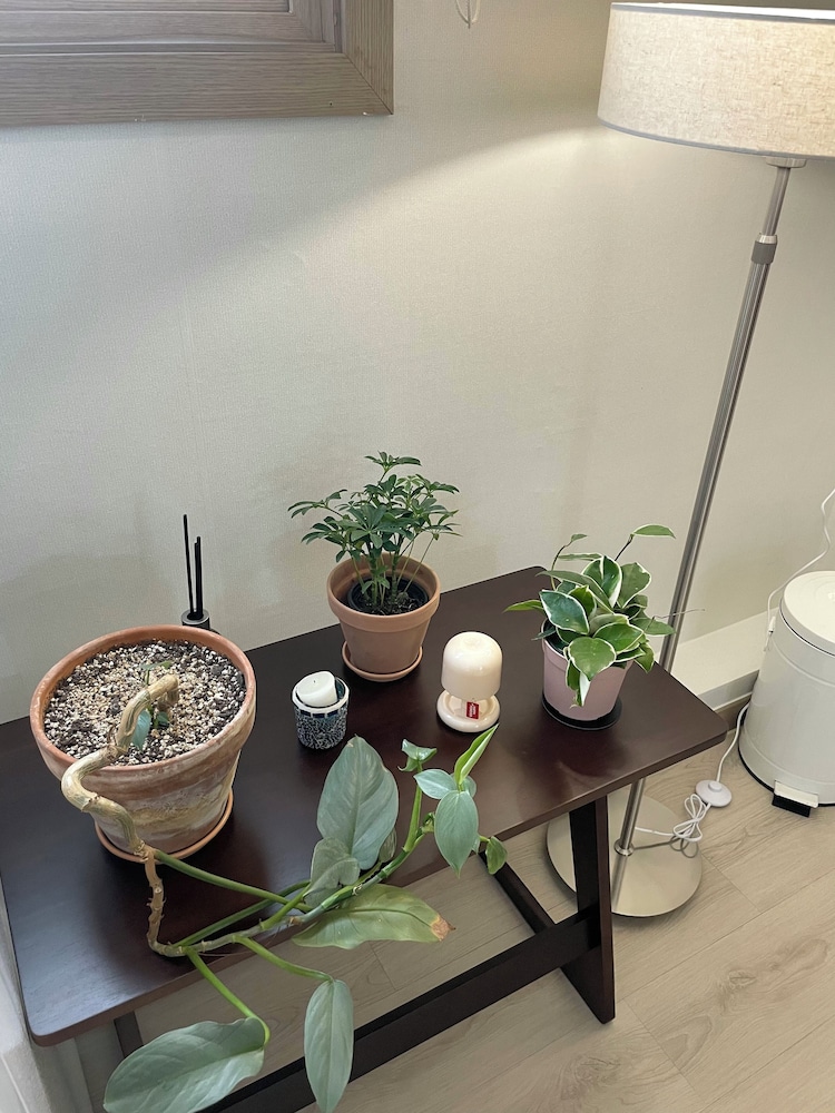 Dana Haru Guesthouse 34/50