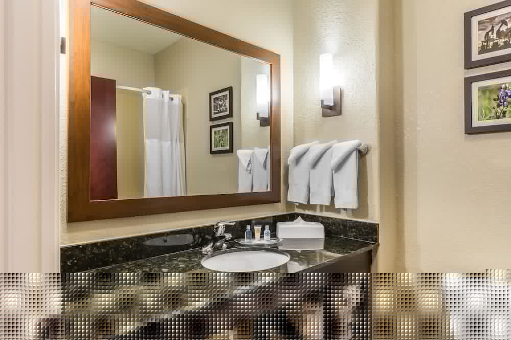 Comfort Suites Houston IAH Airport - Beltway 8 17/45