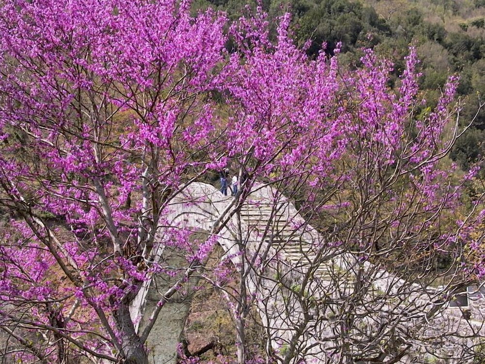 Anavasi Mountain Resort 41/50