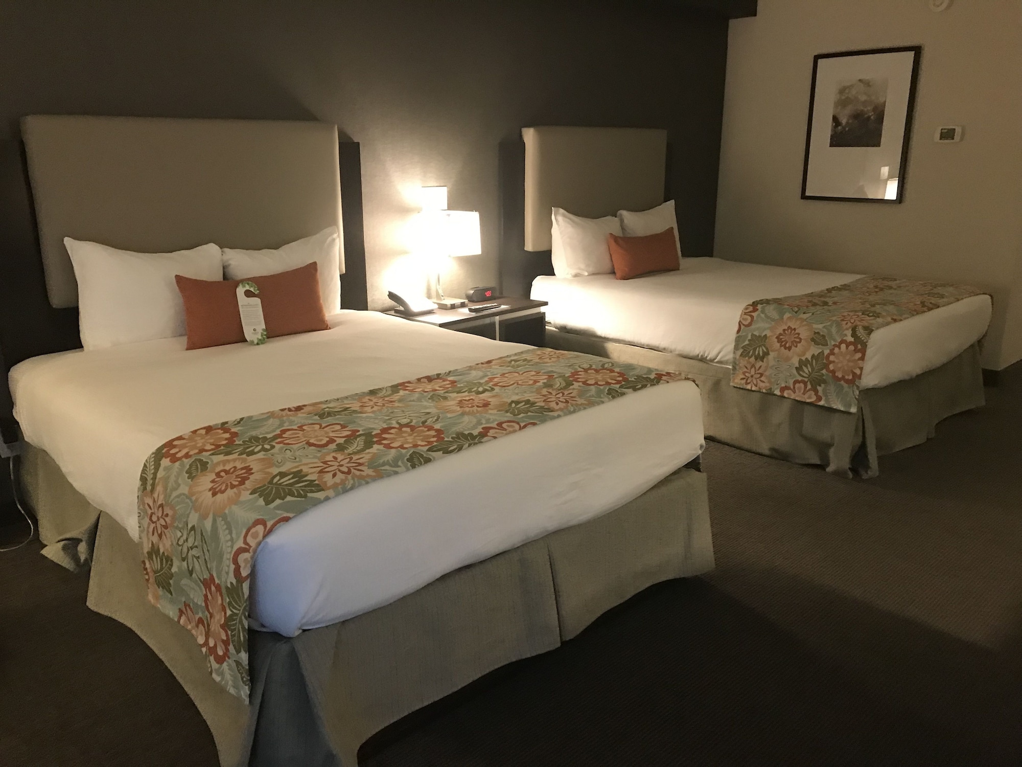 Coast, Comfort, 2 Queen Beds