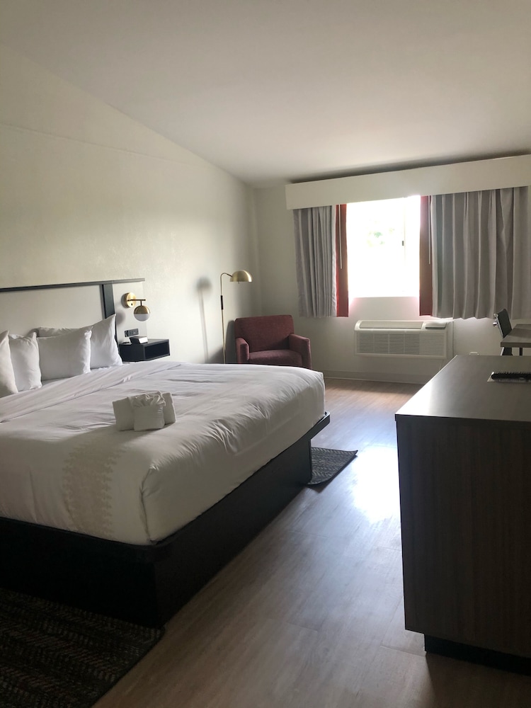 Renovated, King Bed