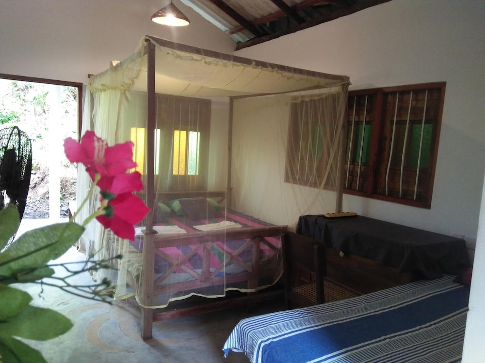 The Jungle House 29/50
