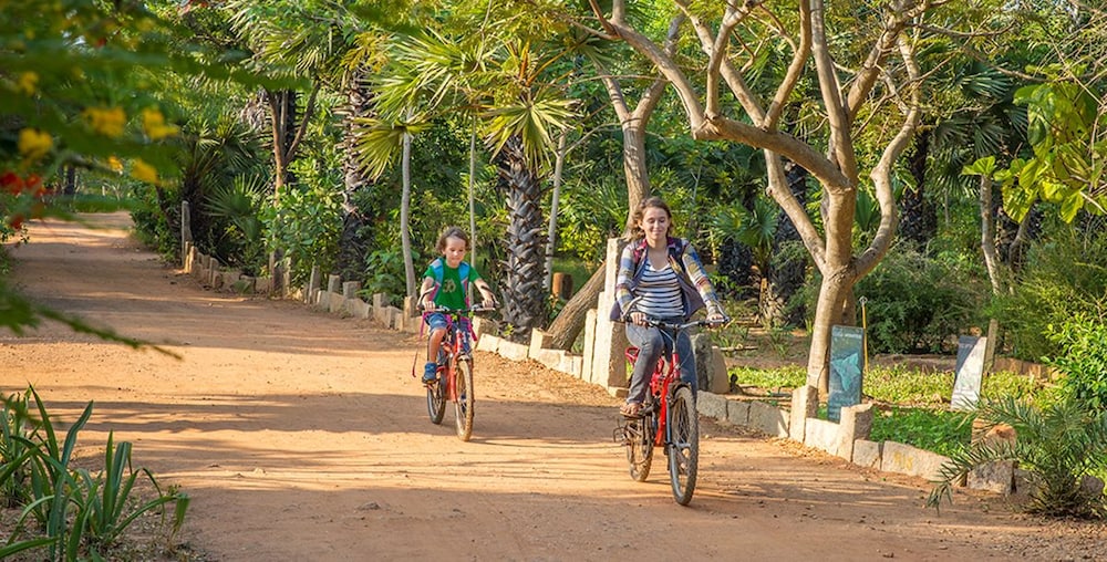 The Dune Eco Village Resort & Spa 34/46