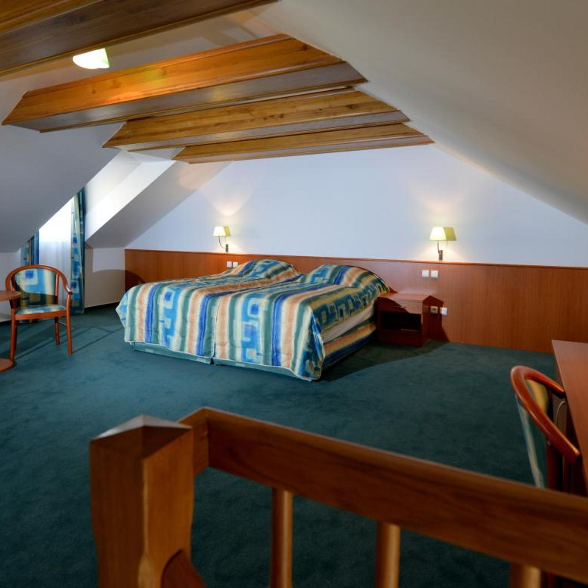 Hotel Dvorak 41/66