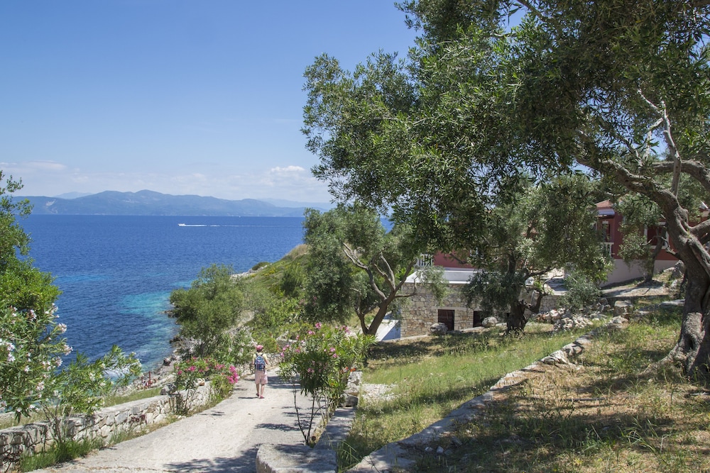 Paxos Sunrise 36/50