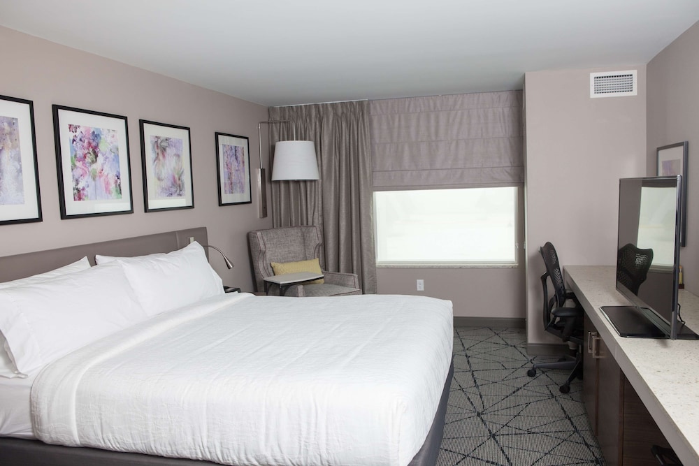 Hilton Garden Inn Springfield 14/76