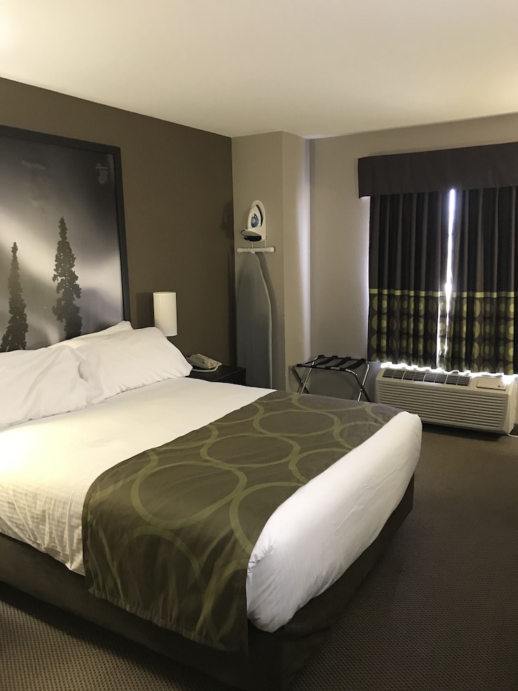 Super 8 By Wyndham Prince Albert 12/33