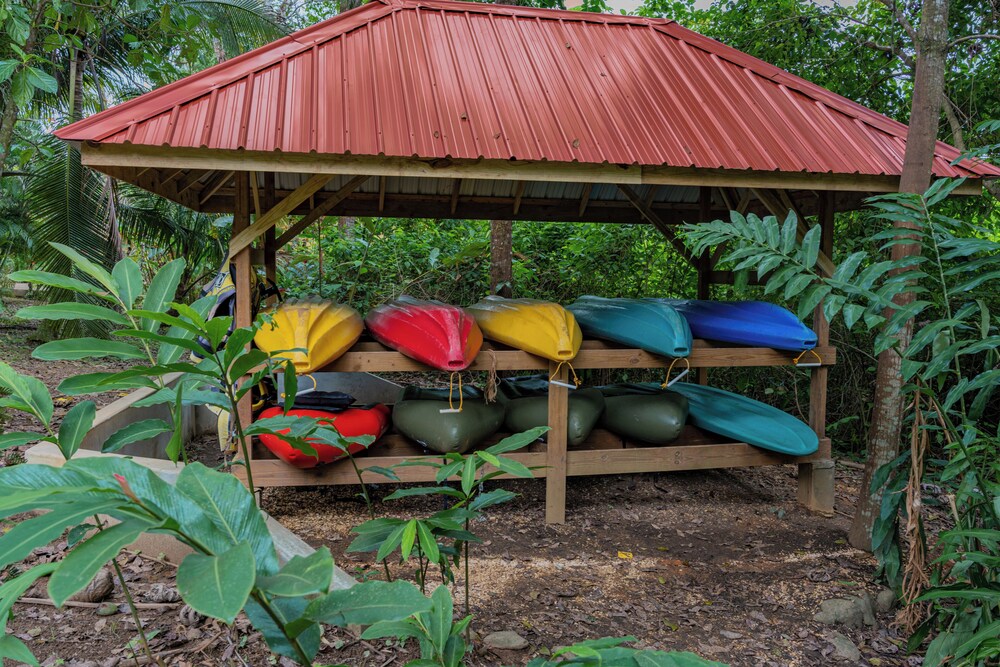 Sleeping Giant Rainforest Lodge 5/51