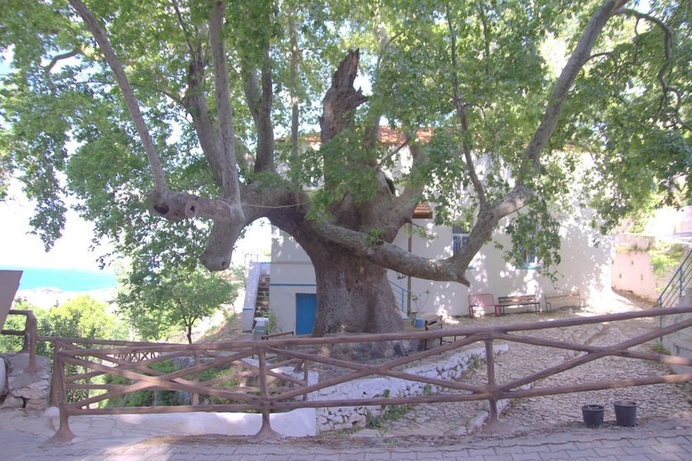 Uzum Iskelesi Butik Otel 45/50