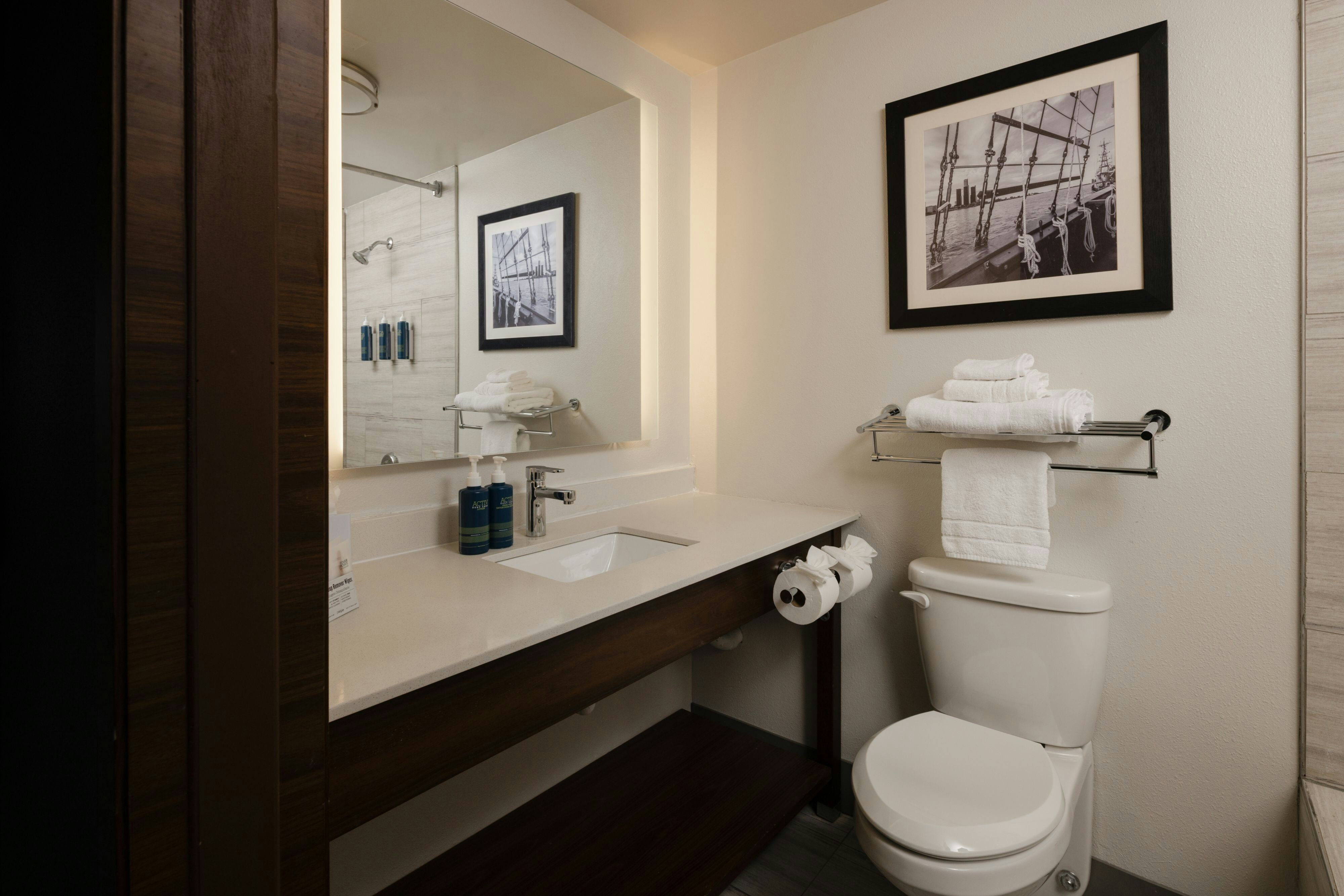 FOUR POINTS BY SHERATON DETROIT NOVI 58/63