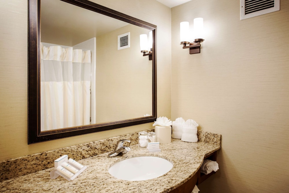 Hilton Garden Inn Denver Airport 13/53