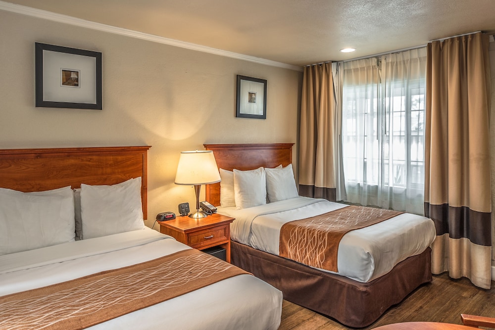 The Inn At 1252 Monterey 22/33