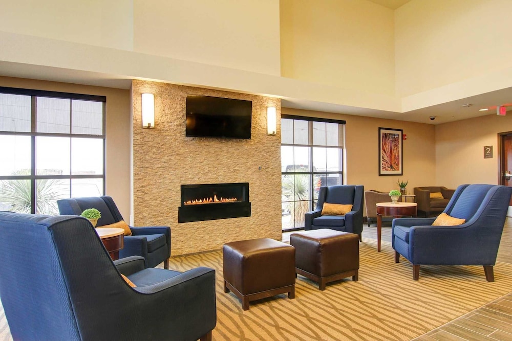 Comfort Suites Carlsbad 22/48
