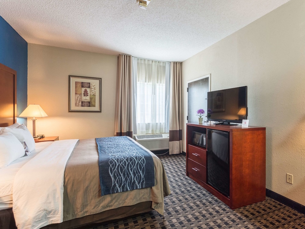 Comfort Inn Decatur Priceville 11/49