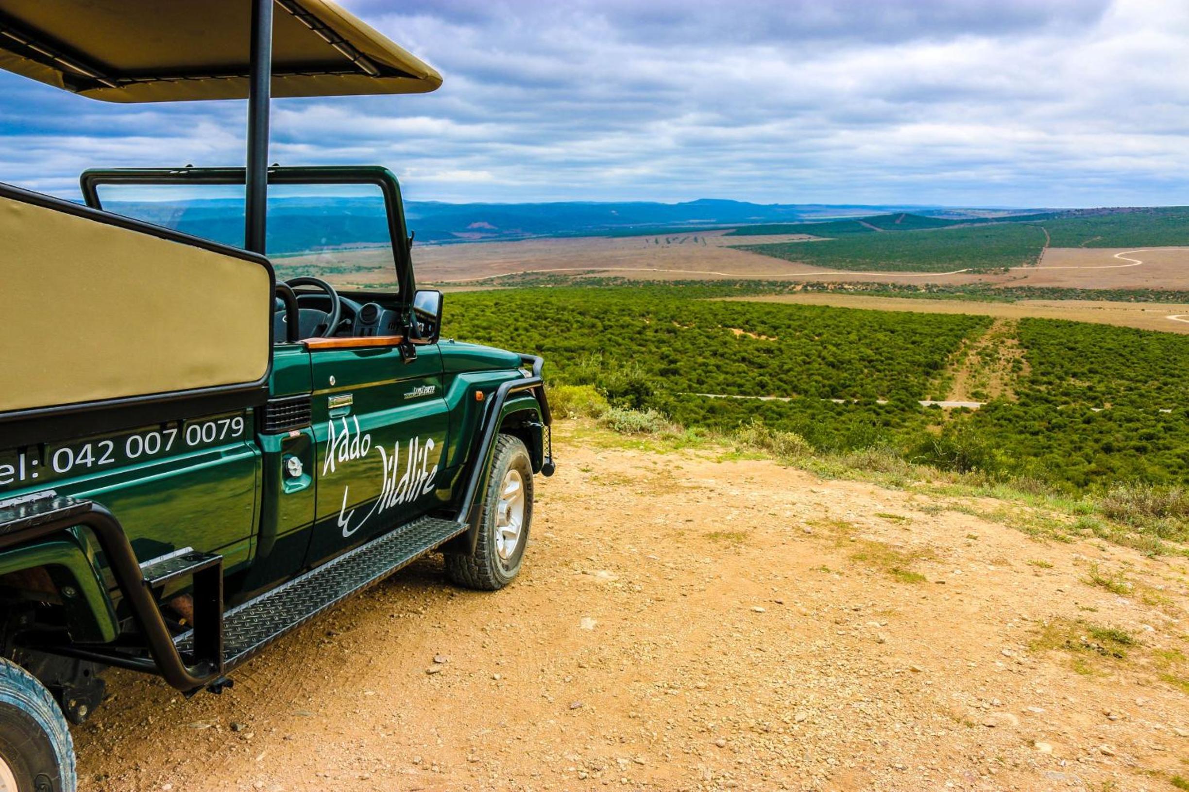 Addo Wildlife 32/34