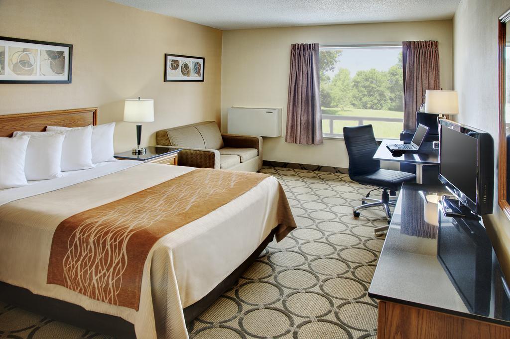 Room, Queen Bed