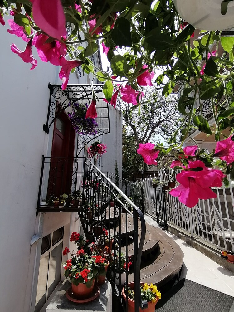 City Boutique Inn 44/50