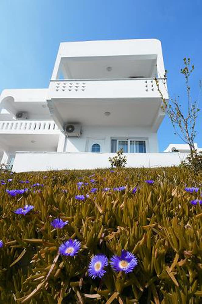 Alexandros Palace Hotel and Suites 6/83