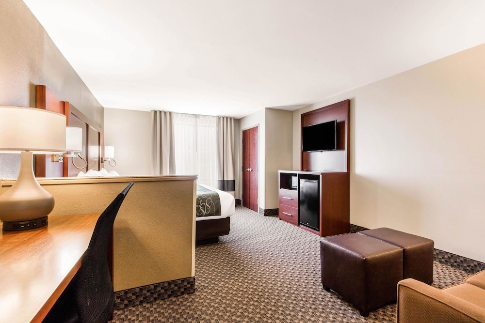 Comfort Suites Tuscaloosa Near University 25/36