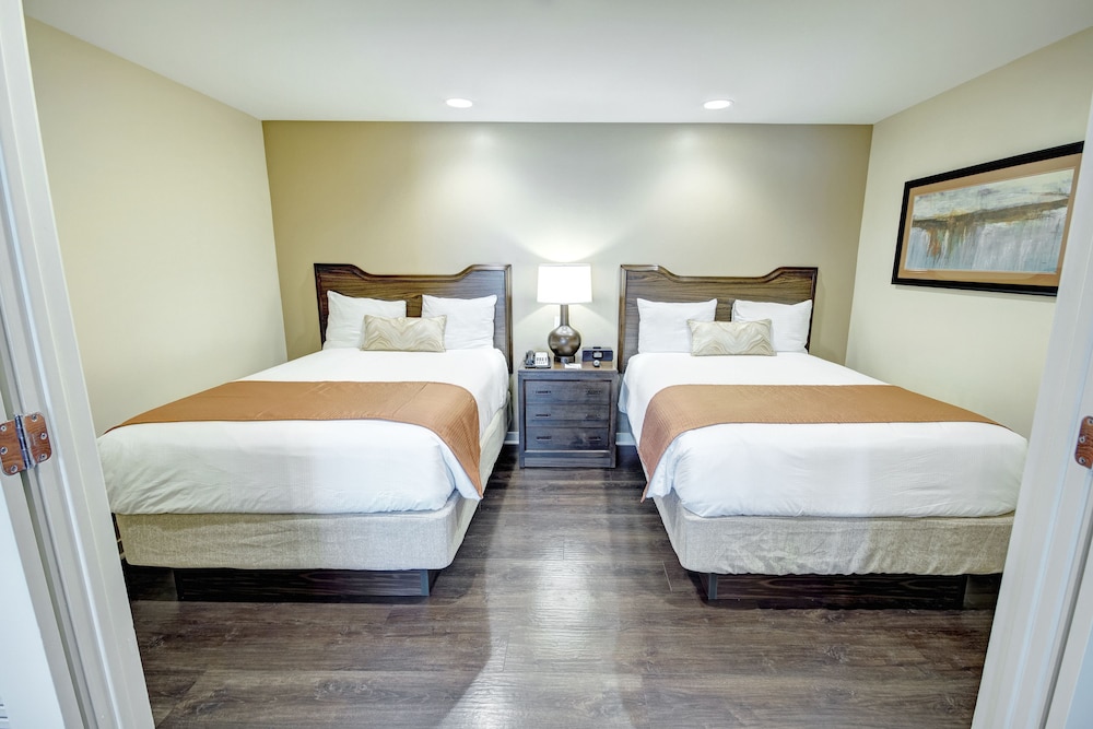 1 BEDROOM, SUITE, KITCHENETTE