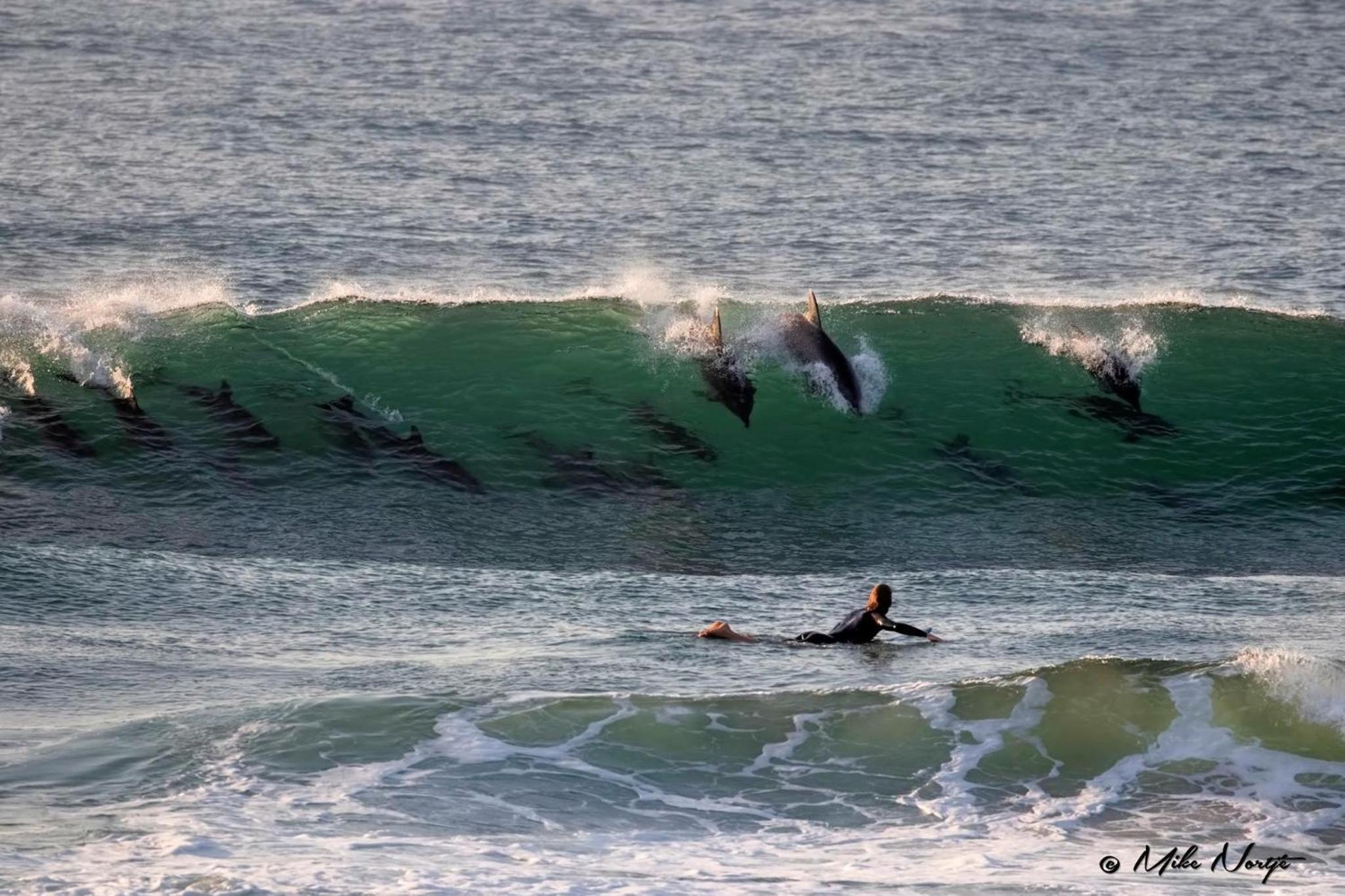 Ansteys Beach 33/50