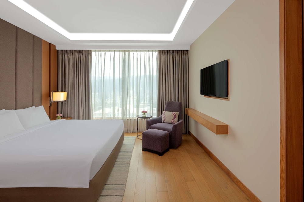 RADISSON BLU HOTEL GUWAHATI 13/48