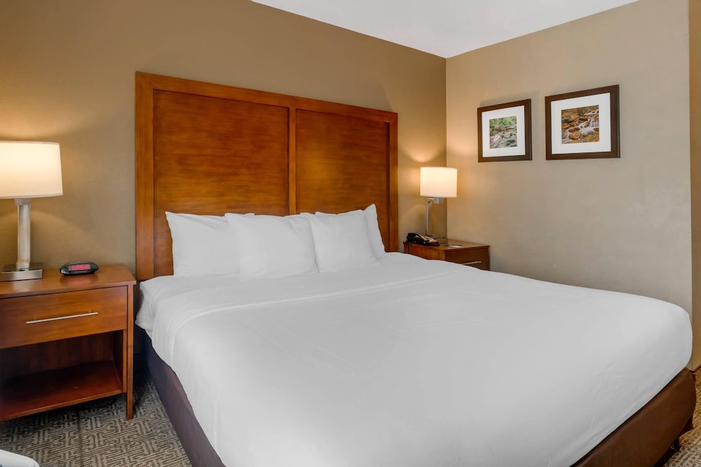 康福特桃树角套房假日酒店(Comfort Inn & Suites Peachtree Corners - Norcross) 图片2