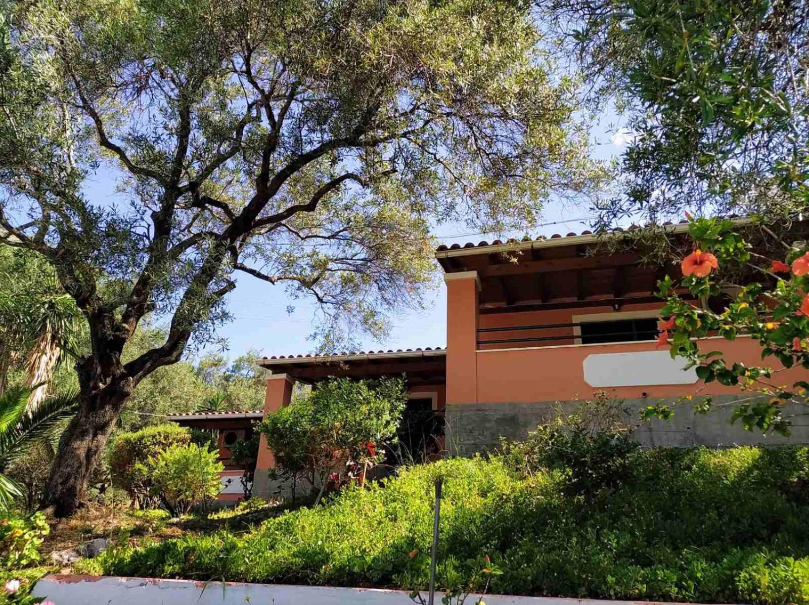 别墅Stefanos公寓by Hotelius(Villa Stefanos Apartments by Hotelius) 图片2