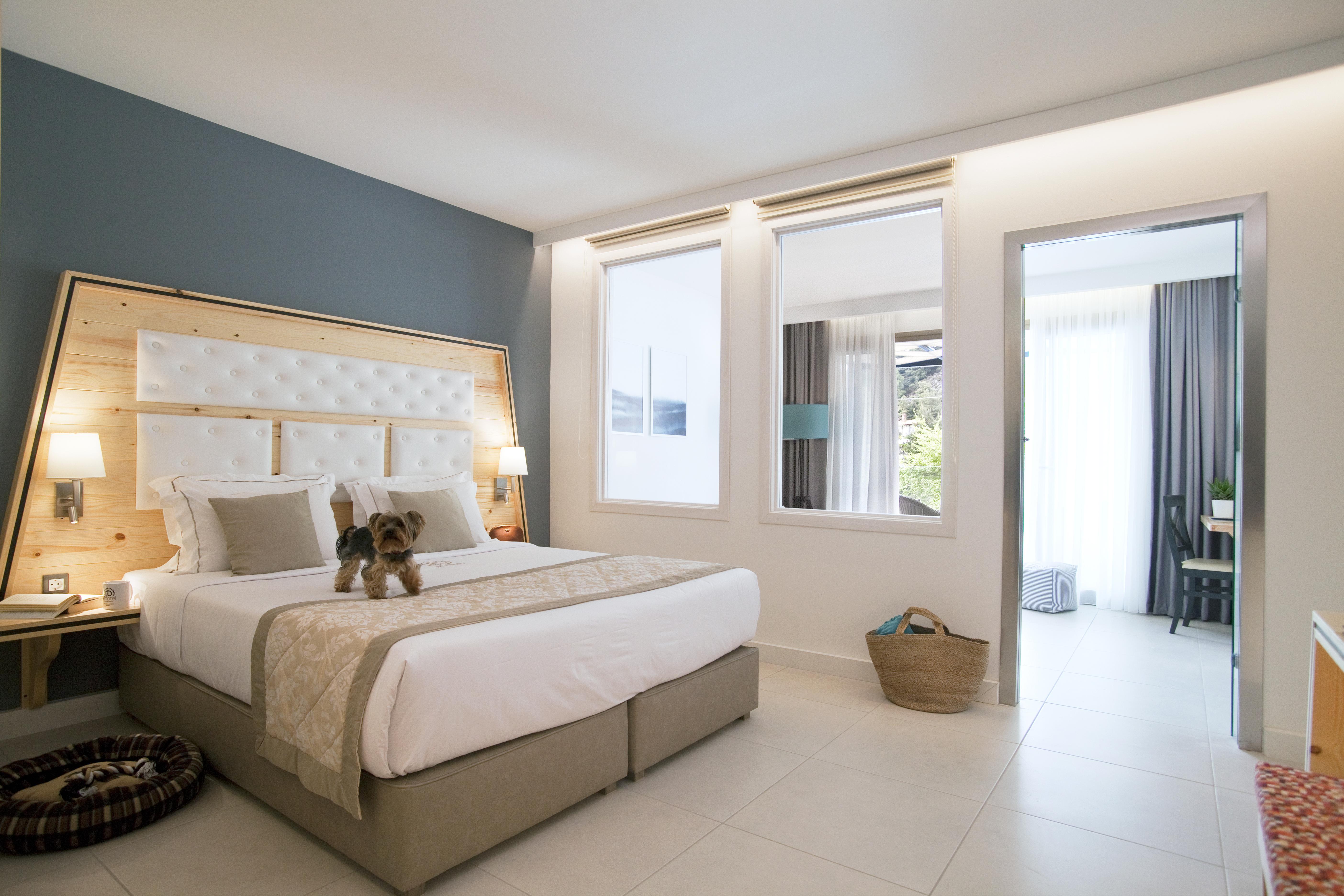 Suite, Pool Front