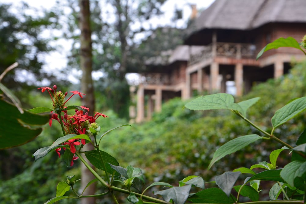 Neptune Ngorongoro Luxury Lodge - All Inclusive 45/50