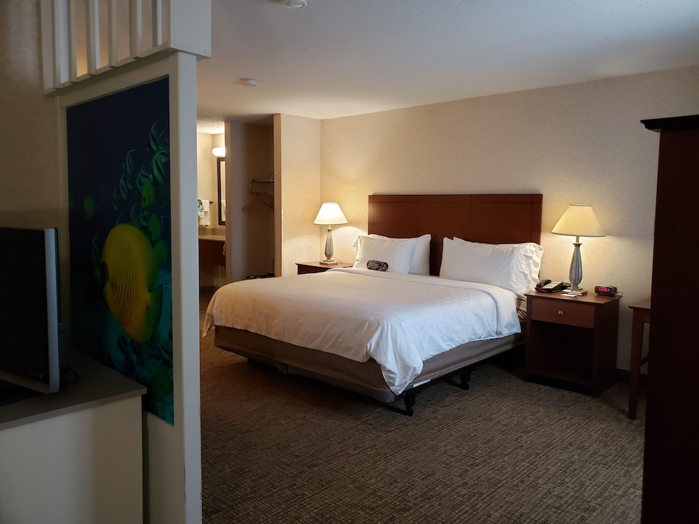 Holiday Inn Express Deforest Madison Area, an IHG Hotel 19/65