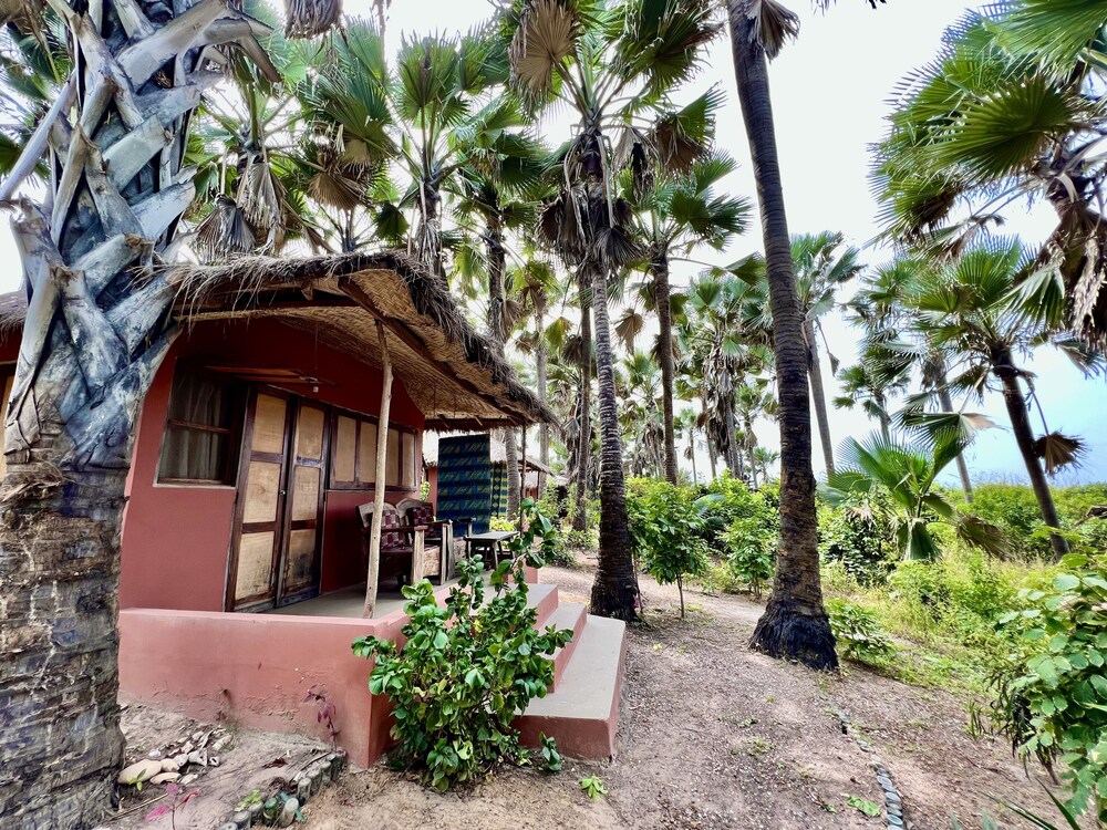 Nemasu Eco-Lodge 5/50