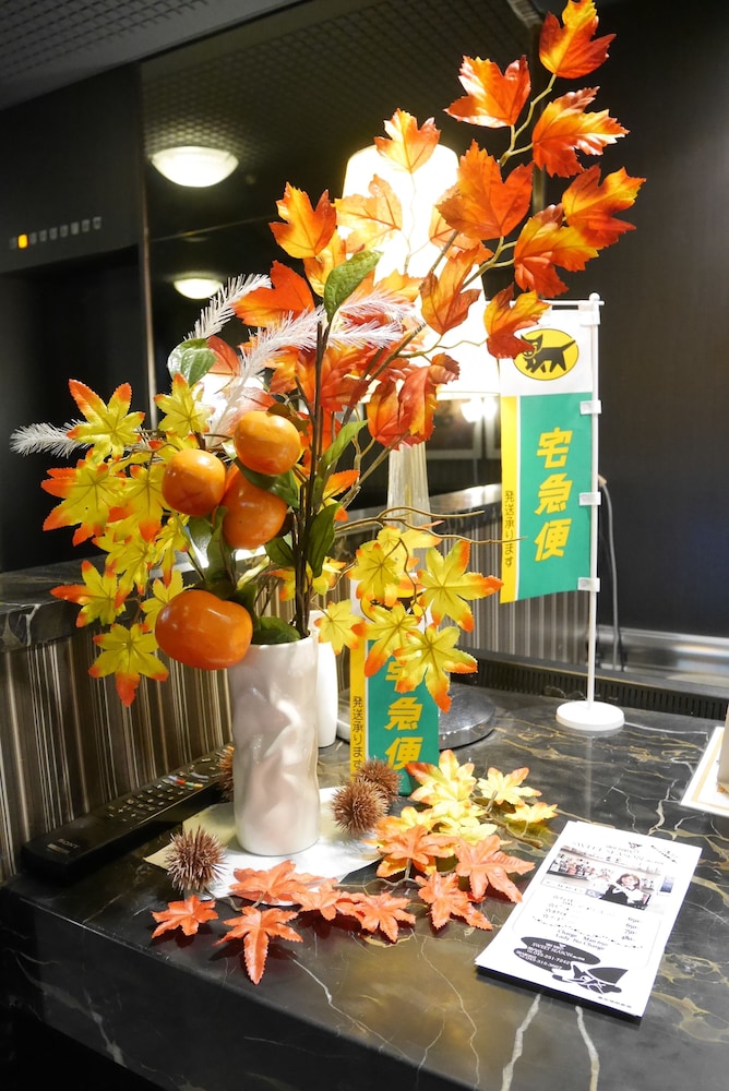 Hotel Livemax BUDGET Yokohama Kannai 29/50