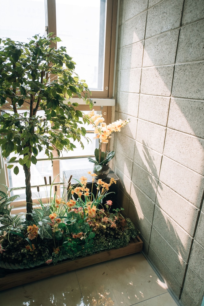 Midtown Hostel 41/50