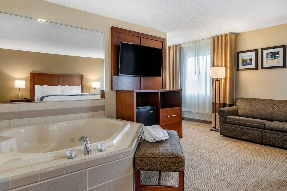 Comfort Inn Suites Dimondale Lansing 21/35