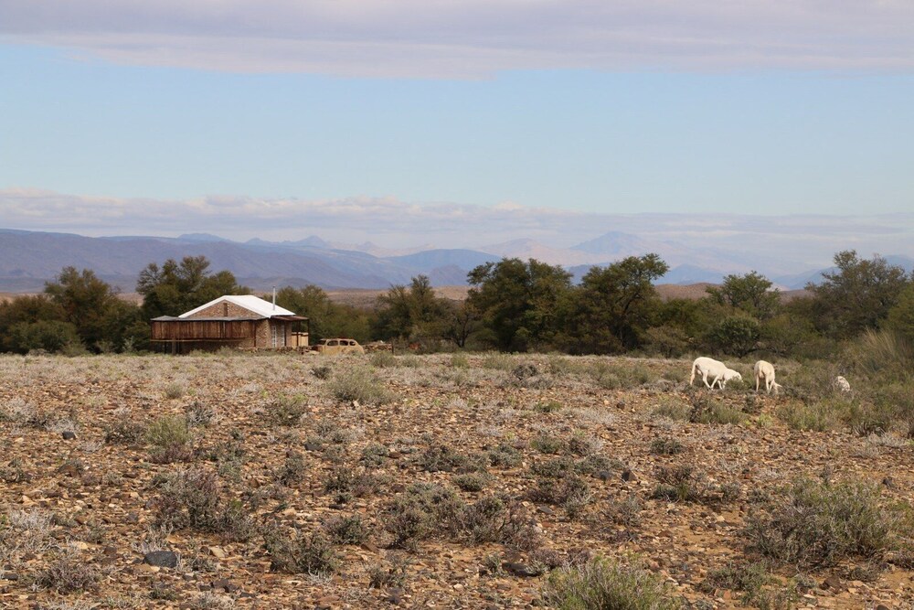 Wolvekraal - Guest Farm and Self-Catering Accommodation 26/40