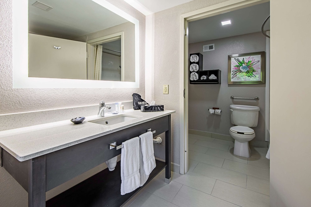 Best Western Plus Clemson Hotel & Conference Center 19/46