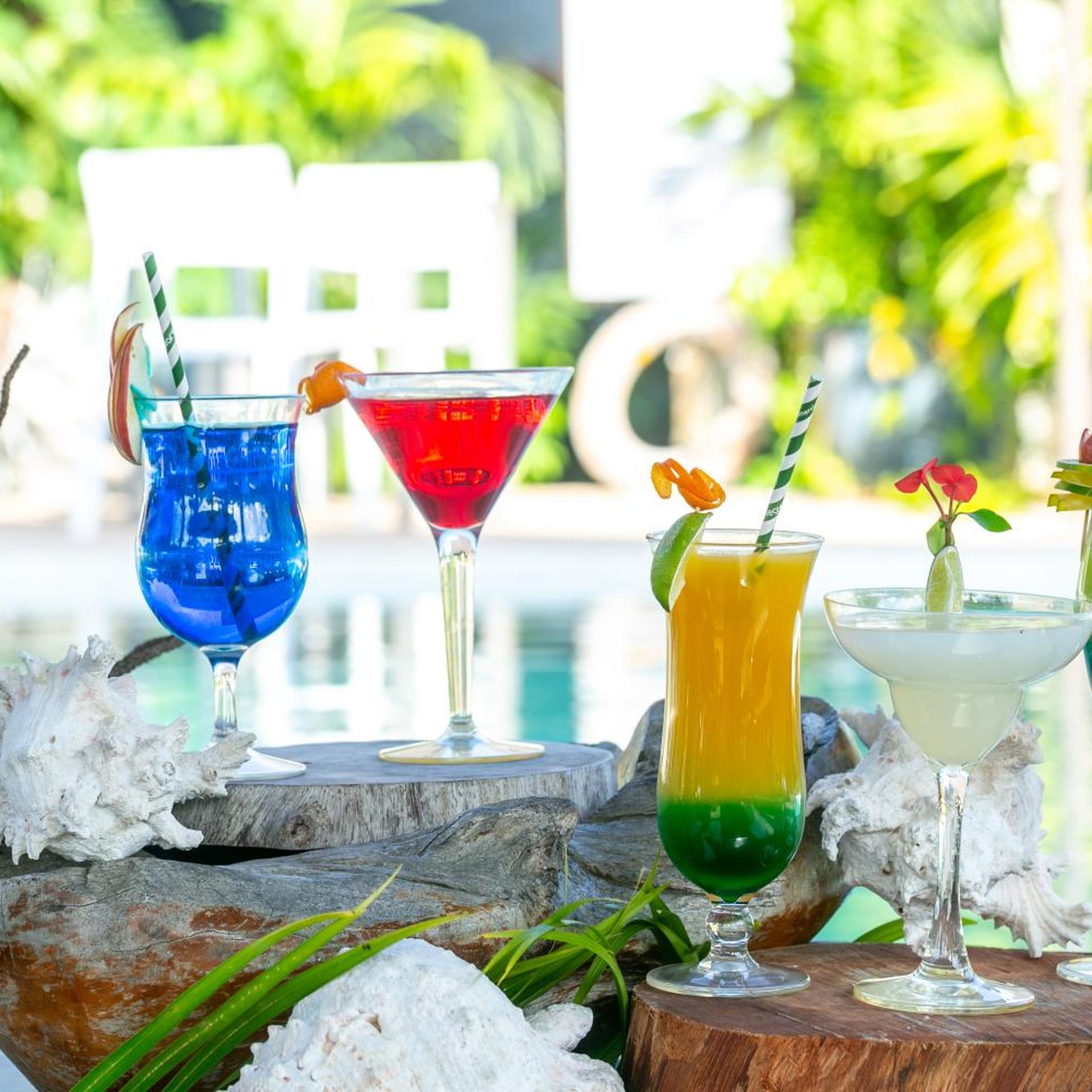 Les Lauriers Eco Hotel 22/50