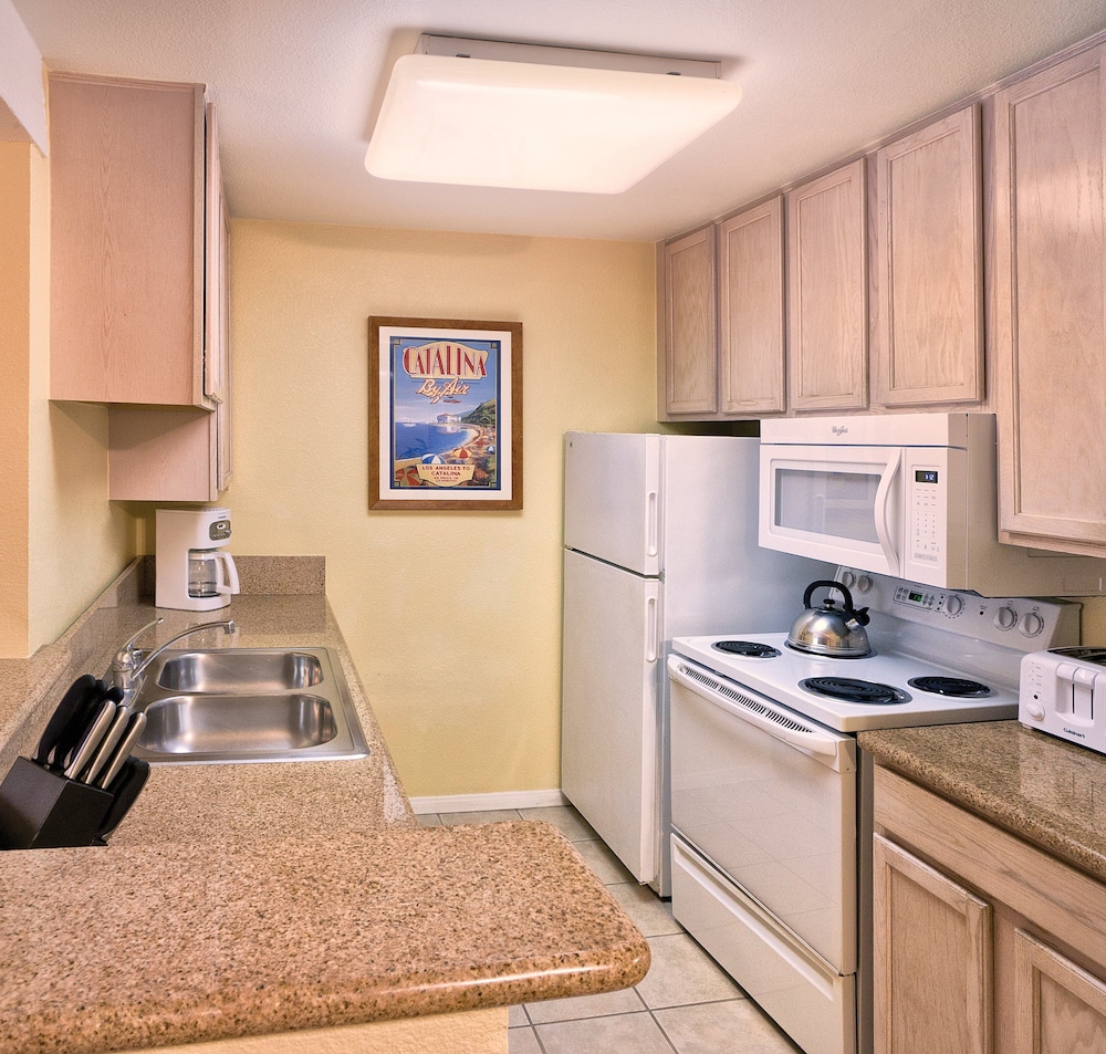 Club Wyndham Dolphin's Cove 24/40
