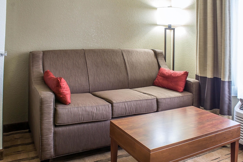 Comfort Inn & Suites Cedar Rapids North - Collins Road, IA 28/37
