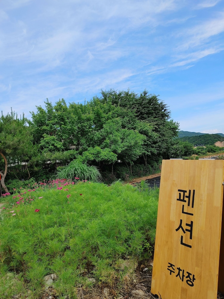 Paju Kamaksan Pension 29/50