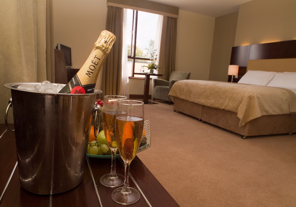 Trim Castle Hotel 18/57