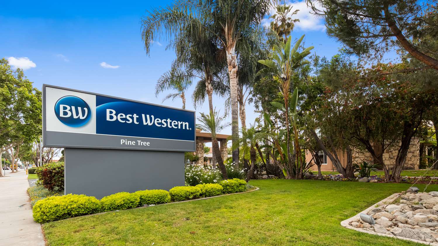 Best Western Pine Tree Motel 35/35