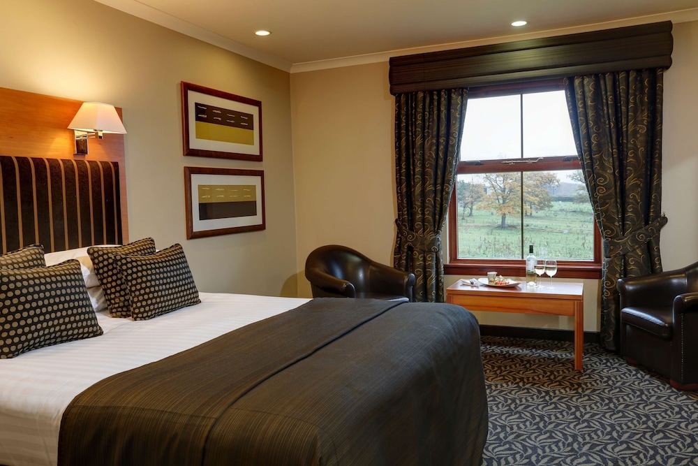 SUITE, KING BED